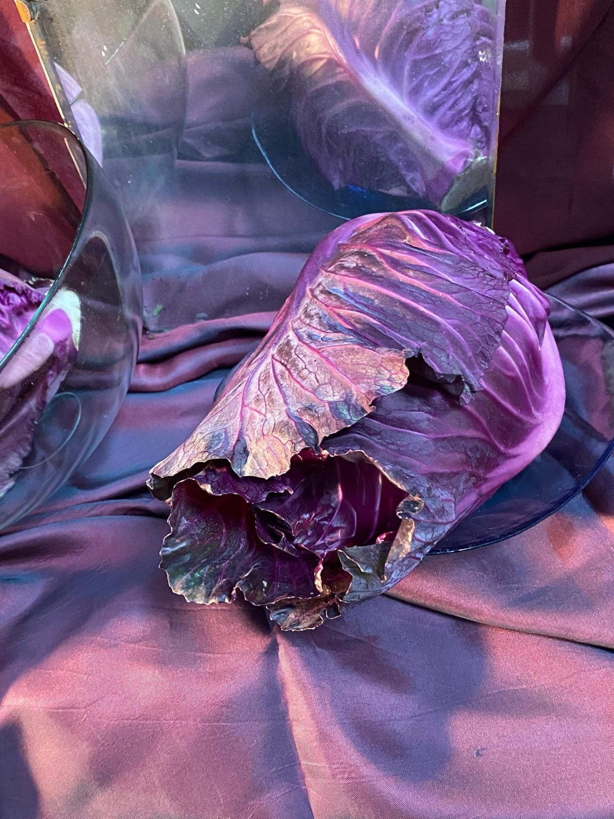 nowości — zdjęcie 2